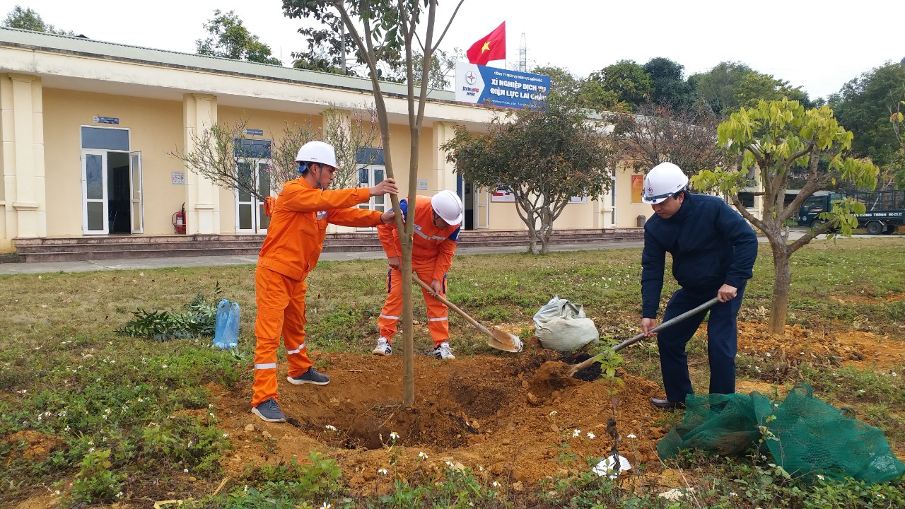 Phát động “Tết trồng cây” xuân Quý Mão năm 2023 tại Xí nghiệp Dịch vụ Điện lực Lai Châu